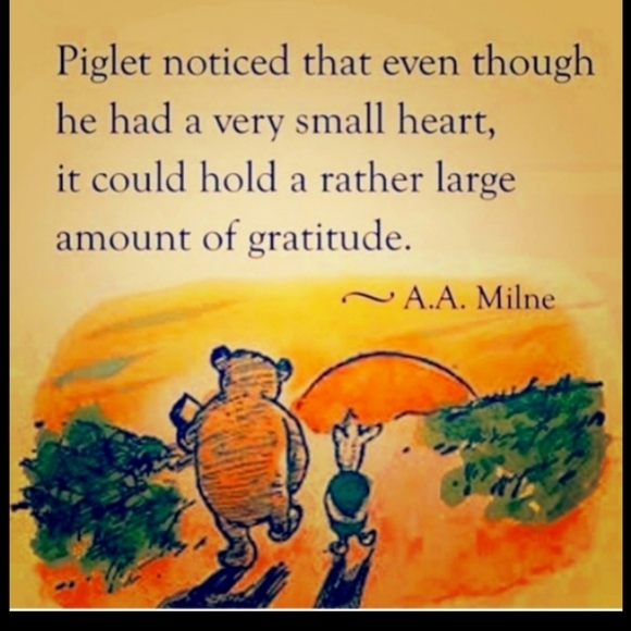 🧸 Heating Pad  MOIST / DRY Conair NIB - Picture 9 of 16